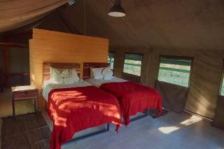 Zuri Camp - Tent Kiama - 4