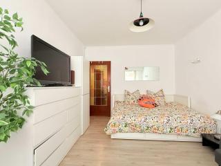 Studio Cozy just steps from Luxembourg train station - 0