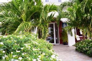 Ladybugs Apartments - Eagle Beach - 5