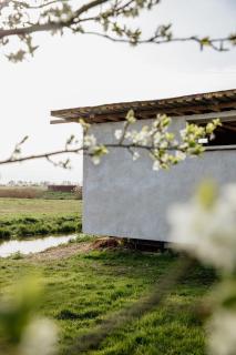 Vrij aan de Amstel Tiny House met hottub aan het water - 1
