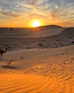 Sahara wild camping - 0