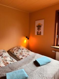 Guesthouse Leon - Historic Home Near City Center with Free Parking - 4