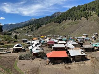 Peak Paradise Resort - 8