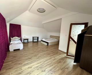 Casa Andra Vama Veche - 2