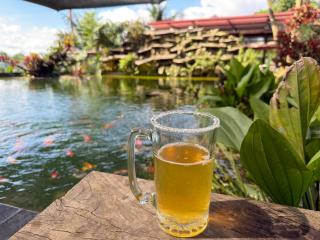 Payara Experience - 8