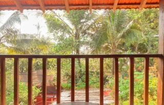 Casa flora - 4