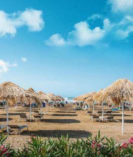 Baku Sea Breeze - 5