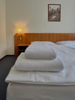Hotel Astra - 3
