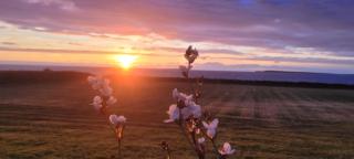 Atlantic Way Suites Doonbeg Co Clare - 7