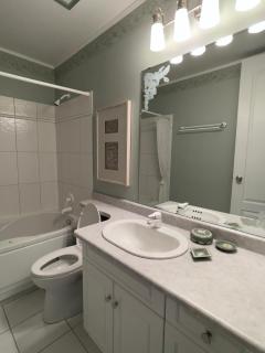 Bright 3-Bedroom Suite with Indoor Jacuzzi - 3