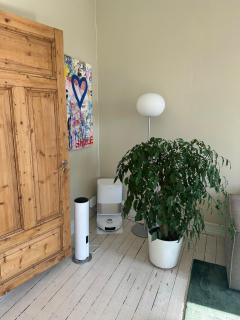 Suniva and Peder home - 4