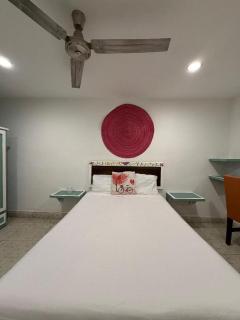 Casa Trebol - 7
