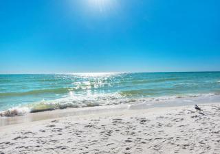Tradewinds Condominium #25 - 5