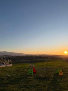 Apartman Stari Grad - 8