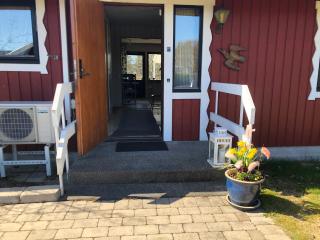 Trädgård - 4