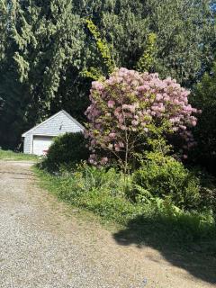 Vancouver Charm- Private Room, Free Parking, Near YVR Airport & Beach - 3