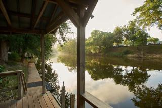 PRD 923 Leaning Oak - 0