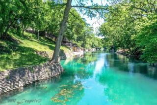 CW C102 The Iron Cactus Condo on the Comal - 7