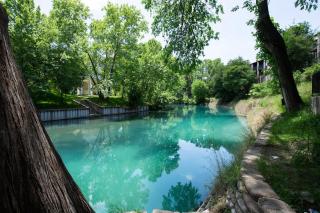CW B201 Comal Riverbahn Retreat B201 - 4