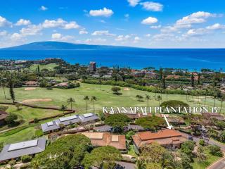 Kaanapali Plantation 15 - 6