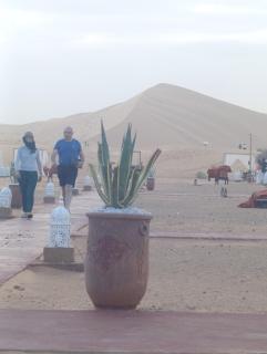 Celestia Sahara Camp - 7