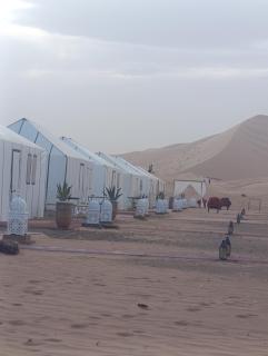 Celestia Sahara Camp - 8