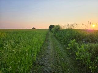 Peaceful Pasture Farm - 8