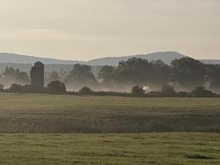 Peaceful Pasture Farm - 5