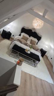 Le cocoon de choupette - 0