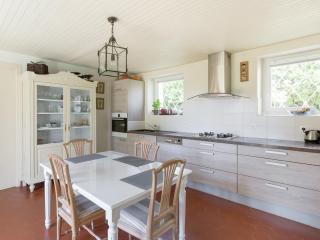 Beautiful house with garden - 1