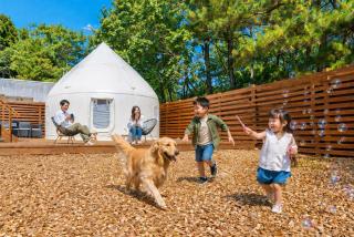 ReSchool Nasu Glamp - 8