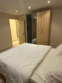 Two-bedroom apartment on Sicily Street, off Abbas Al-Akkad Street - 2