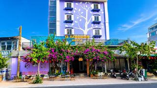 Q Song Chi Côn Đảo Hotel - 0