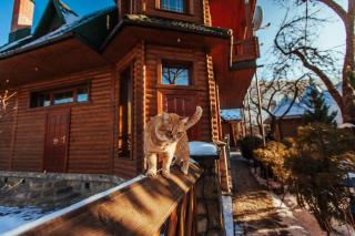 U Yaroslava Hotel - 2