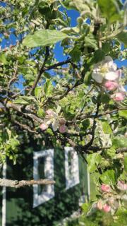 Tiny Nest - 6
