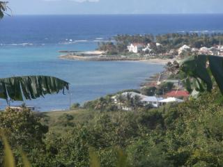 Villa Alizea - Capesterre-de-Marie-Galante - 0