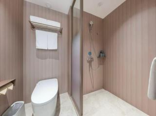 Hanting Hotel Shanghai New International Expo Centre Longyang Road Maglev - 8