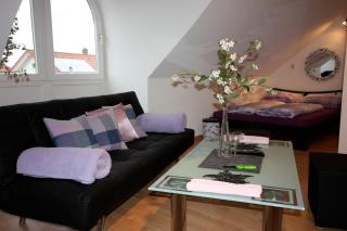 Apartment BELLA Studio - EP Ticket Garantie - Rust - 0