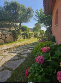 Valinco Locations OLMETO PLAGE - Olmeto - 3