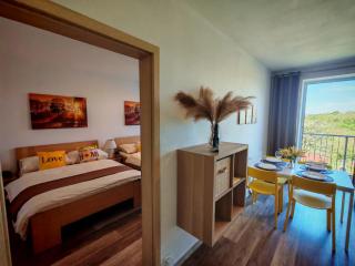 Apartmánky Valtice - Rooms & Whole House, 2-17 guests - 6