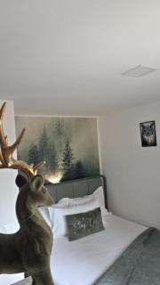 Wild House - Sinaia - 8