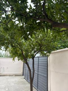 Villa Fatos - beach apartment - 9