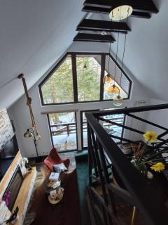 Wild House - Sinaia - 6