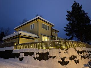 Spacious Villa in Lillehammer - 8