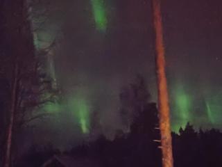 Magisch berghuisje met uitzicht op Nationaal Park Fulufjället - 5
