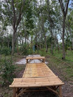 Cat Hut Farmstay - 5