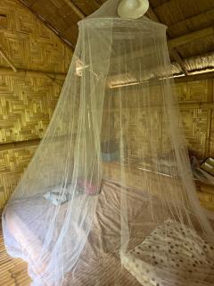 Cat Hut Farmstay - 4