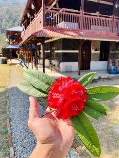 Hillage Retreat & Farmstay - 4