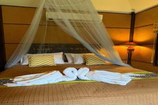 Palette Luxe Elephant Camp Maerim - 6