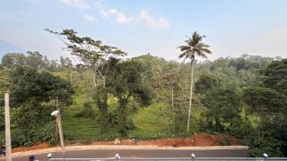 Uforia Homes Munnar - 1